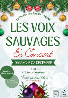 Les voix sauvages : concert de Noël ! 