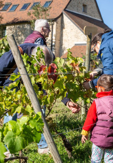 Fête des Vendanges