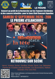 Des chansons plein la tête