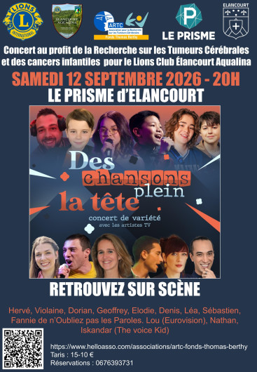 Des chansons plein la tête